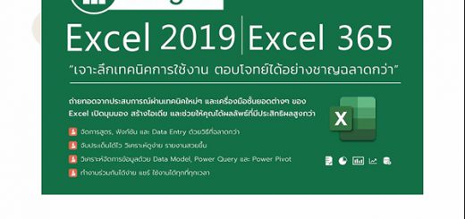 Insight Excel 2019 Excel 365