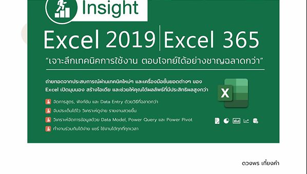 Insight Excel 2019 Excel 365