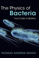 The physics of bacteria : from cells to biofilms